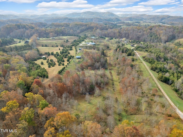 aerial view with a mountain view