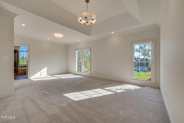 unfurnished room with ornamental molding, light carpet, a healthy amount of sunlight, and a raised ceiling