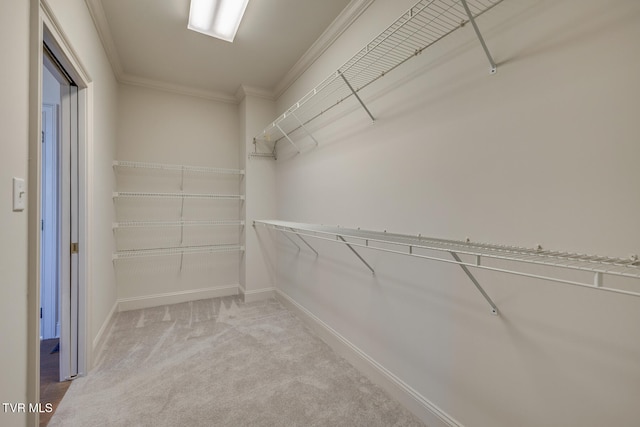 walk in closet with light colored carpet