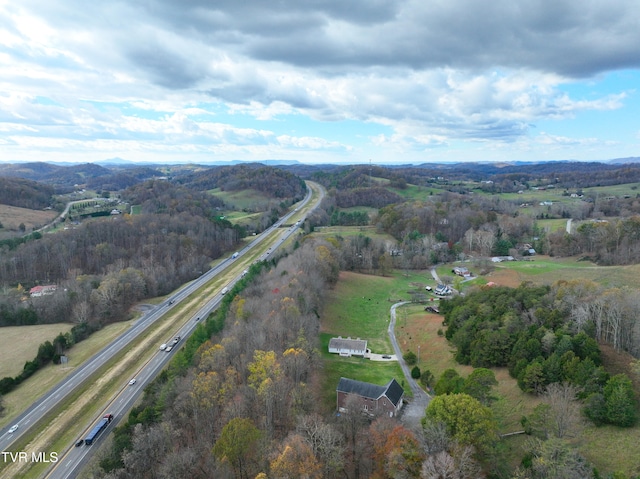 bird's eye view