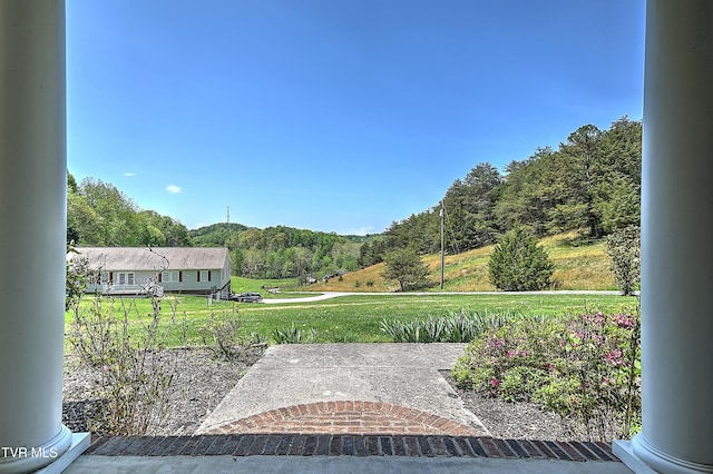 343 Barr Rd, Blountville, TN 37617 - photo 9