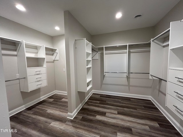 spacious closet with dark wood-type flooring