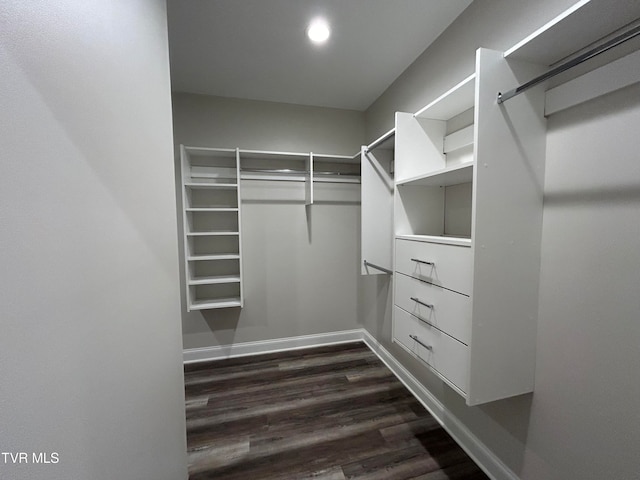 walk in closet featuring dark hardwood / wood-style floors