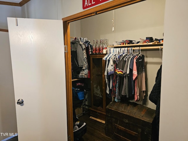 walk in closet featuring hardwood / wood-style flooring