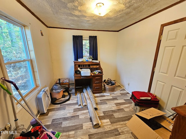 interior space with light wood-type flooring, a textured ceiling, and a healthy amount of sunlight