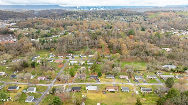 bird's eye view with a mountain view