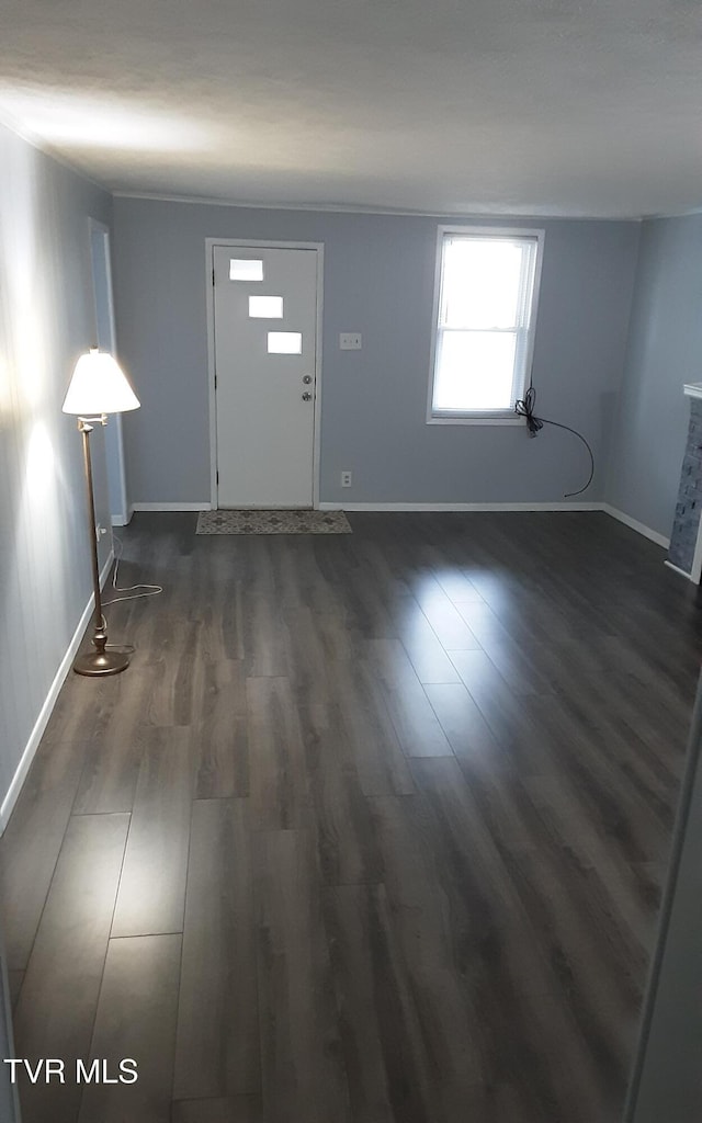 entrance foyer with dark wood-type flooring