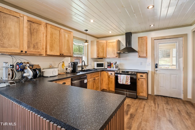 kitchen with stainless steel appliances, sink, wall chimney range hood, light hardwood / wood-style flooring, and hanging light fixtures