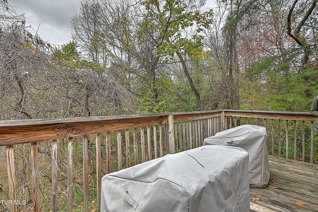 1651 Central Ave, Elizabethton, TN 37643 - photo 25