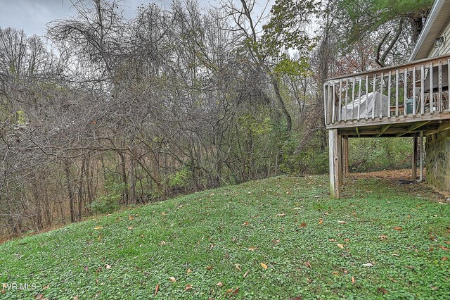 1651 Central Ave, Elizabethton, TN 37643 - photo 30
