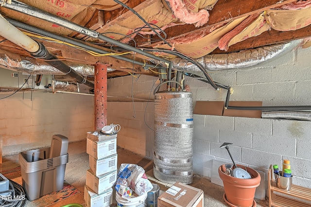 basement featuring water heater