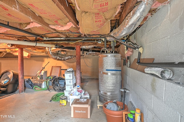 basement with gas water heater