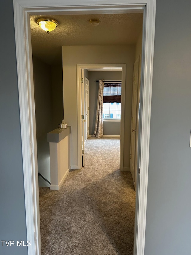 hallway featuring carpet floors and a textured ceiling