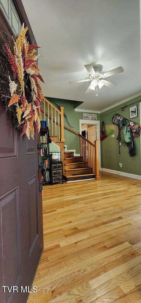 foyer entrance featuring ceiling fan, light hardwood / wood-style floors, and ornamental molding