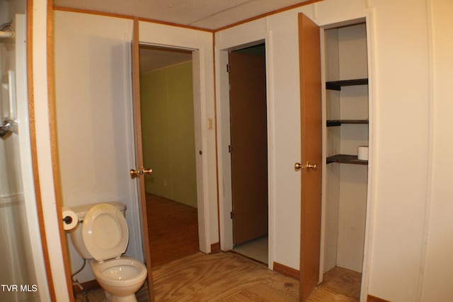 bathroom with wood-type flooring and toilet