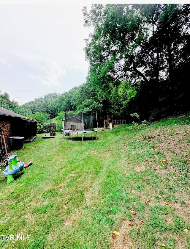 view of yard with a playground and a trampoline