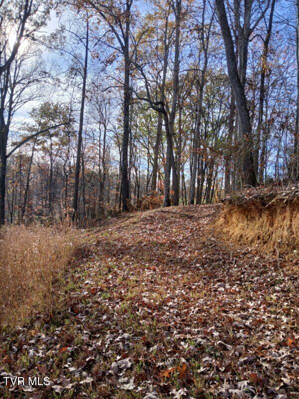 1021 Marbleton Rd, Unicoi, TN 37692