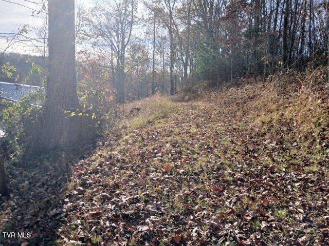 1021 Marbleton Rd, Unicoi, TN 37692