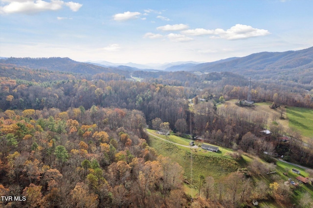 1021 Marbleton Rd, Unicoi, TN 37692