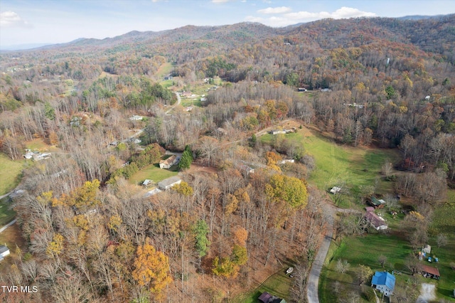 1021 Marbleton Rd, Unicoi, TN 37692