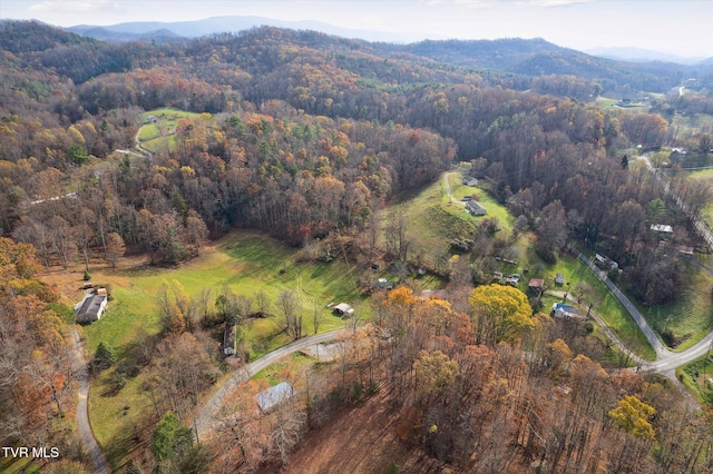 1021 Marbleton Rd, Unicoi, TN 37692