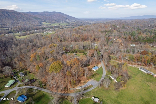 1021 Marbleton Rd, Unicoi, TN 37692