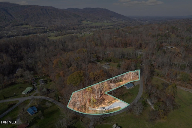 1021 Marbleton Rd, Unicoi, TN 37692