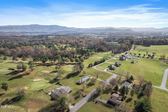 birds eye view of property featuring a mountain view