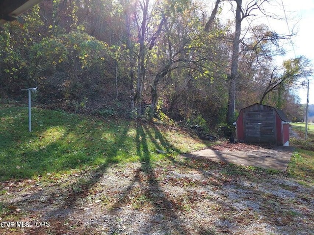 view of yard featuring a shed