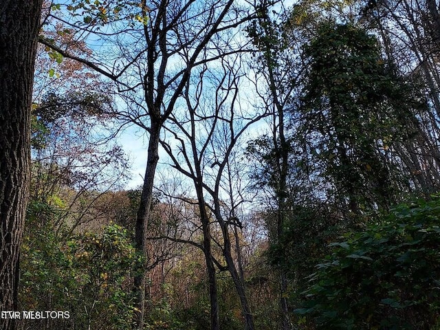 view of landscape