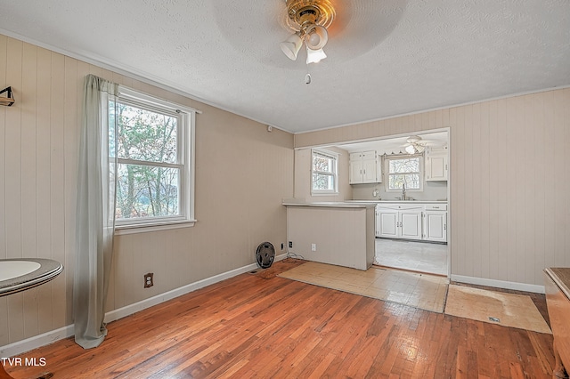 interior space featuring a healthy amount of sunlight, wooden walls, and light hardwood / wood-style flooring