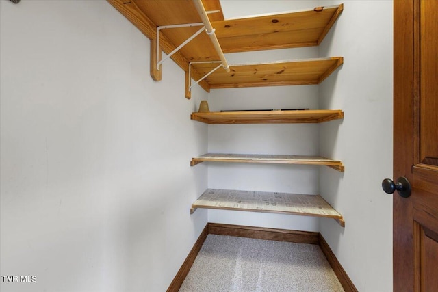 walk in closet featuring carpet