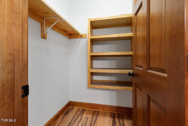 spacious closet featuring wood-type flooring