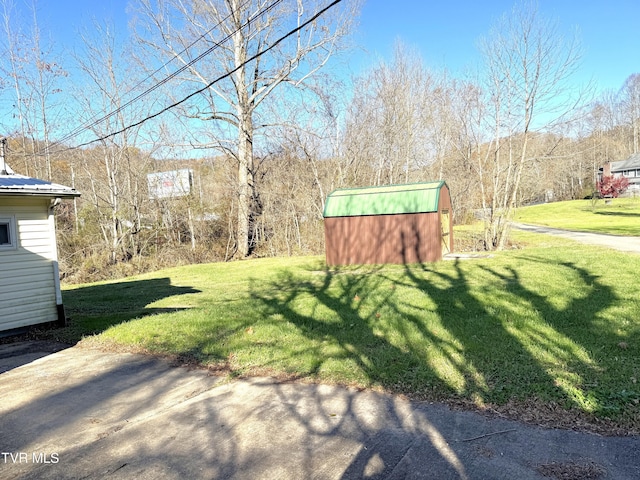 view of yard featuring a shed