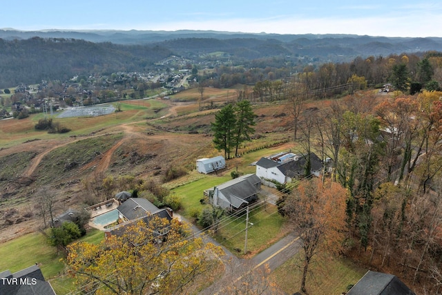 birds eye view of property featuring a mountain view