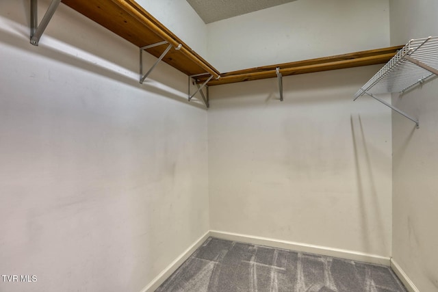 spacious closet with dark carpet