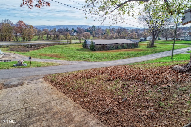 view of property's community featuring a mountain view and a lawn