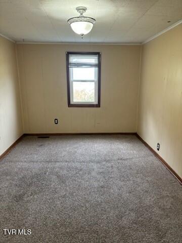 spare room with carpet flooring and crown molding