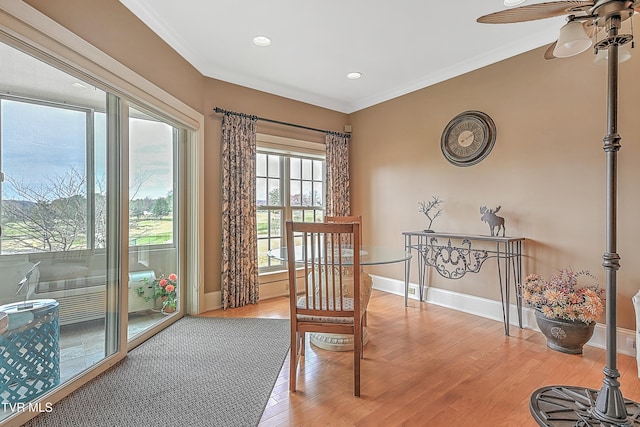 interior space featuring ceiling fan, wood-type flooring, and crown molding