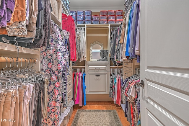 walk in closet with wood-type flooring