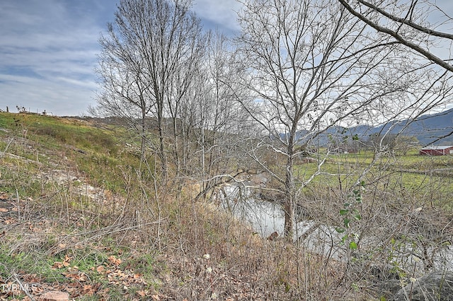 6865 Big Moccasin Rd, Nickelsville, VA 24271 - photo 4