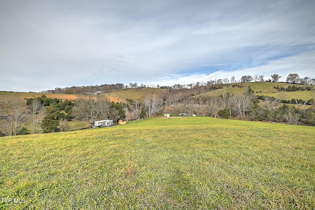 6865 Big Moccasin Rd, Nickelsville, VA 24271 - photo 6