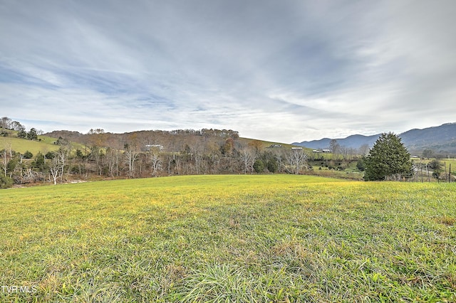 6865 Big Moccasin Rd, Nickelsville, VA 24271 - photo 7