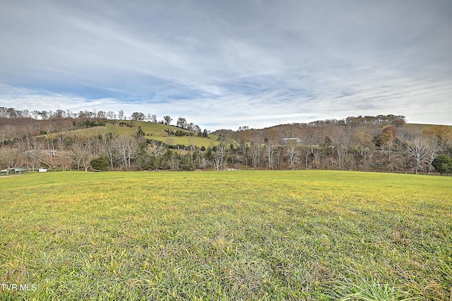 6865 Big Moccasin Rd, Nickelsville, VA 24271 - photo 8