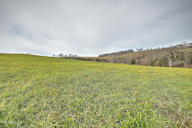6865 Big Moccasin Rd, Nickelsville, VA 24271 - photo 12