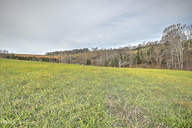 6865 Big Moccasin Rd, Nickelsville, VA 24271 - photo 13
