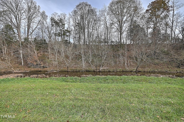 6865 Big Moccasin Rd, Nickelsville, VA 24271 - photo 14