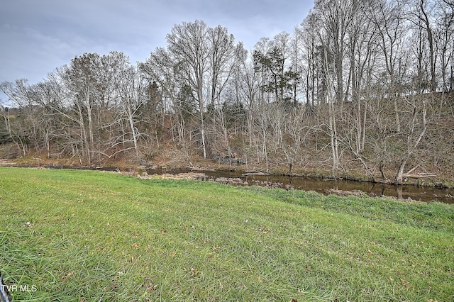 6865 Big Moccasin Rd, Nickelsville, VA 24271 - photo 15