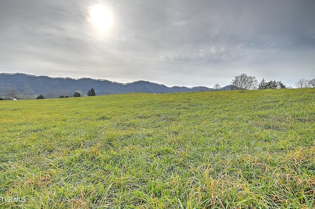 6865 Big Moccasin Rd, Nickelsville, VA 24271 - photo 17