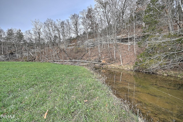 6865 Big Moccasin Rd, Nickelsville, VA 24271 - photo 21